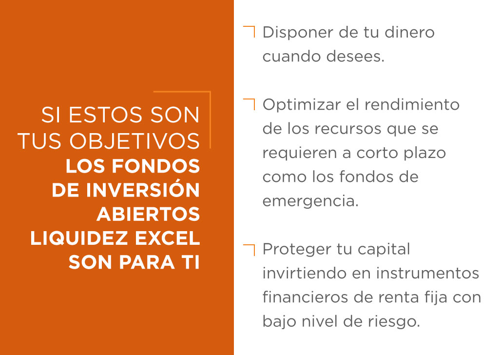 Fondos de inversión abiertos liquidez Excel