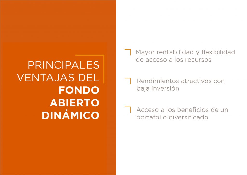 WEBDINAMICO-01 WEBDINAMICO 01